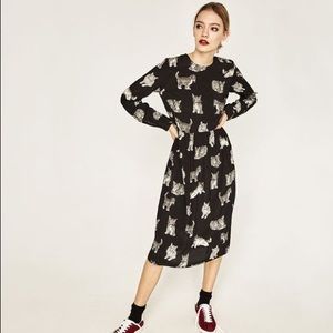 Cat Print Dress